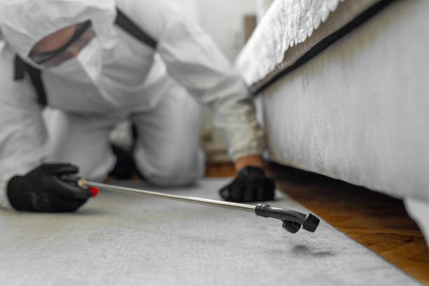 Professional Cockroach Control technician working in Winthrop Harbor, IL