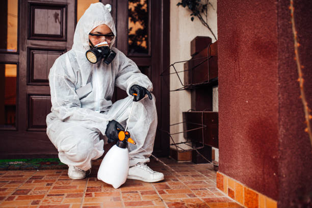 Reliable Cockroach Control contractor in Winthrop Harbor, IL by Nex Pest Control