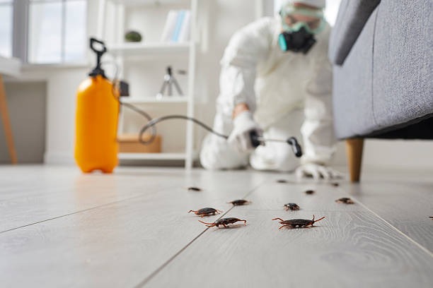 Trusted Cockroach Control service in Winthrop Harbor, IL - Nex Pest Control
