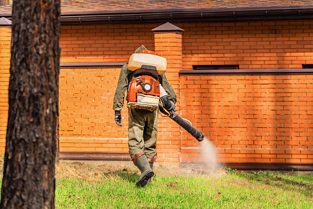 Trusted Rodent Control service in Winthrop Harbor, IL - Nex Pest Control